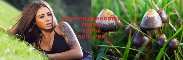прущие грибы Алексин