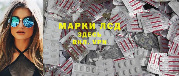 ПСИЛОЦИБИНОВЫЕ ГРИБЫ Алзамай