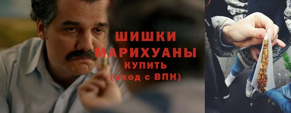 ПСИЛОЦИБИНОВЫЕ ГРИБЫ Алзамай
