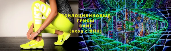 прущие грибы Алексин