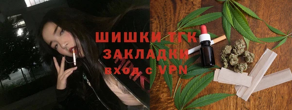 ПСИЛОЦИБИНОВЫЕ ГРИБЫ Алзамай