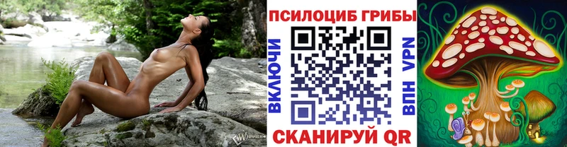 Псилоцибиновые грибы Psilocybe  Купить  Каневская 